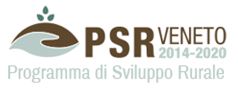 RAPPORTO di ESECUZIONE FINALE del PSL 2014-2022 del GAL Alta Marca Trevigiana
