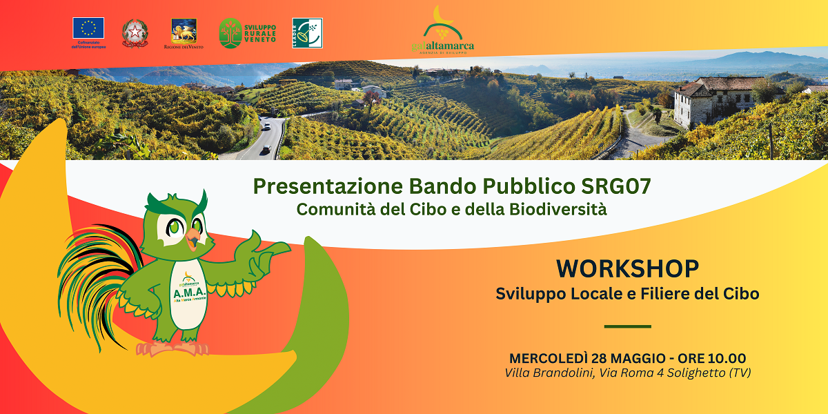 PRESENTAZIONE BANDO PUBBLICO SRG07: WORKSHOP 28 maggio 2025 ore 10.00